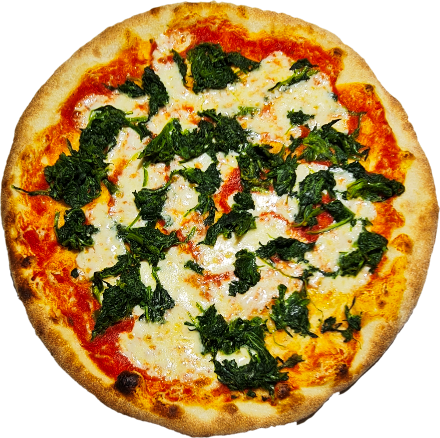 SPINACI